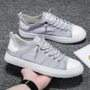 Aabhadesigner Men Casual Canvas Shoes
